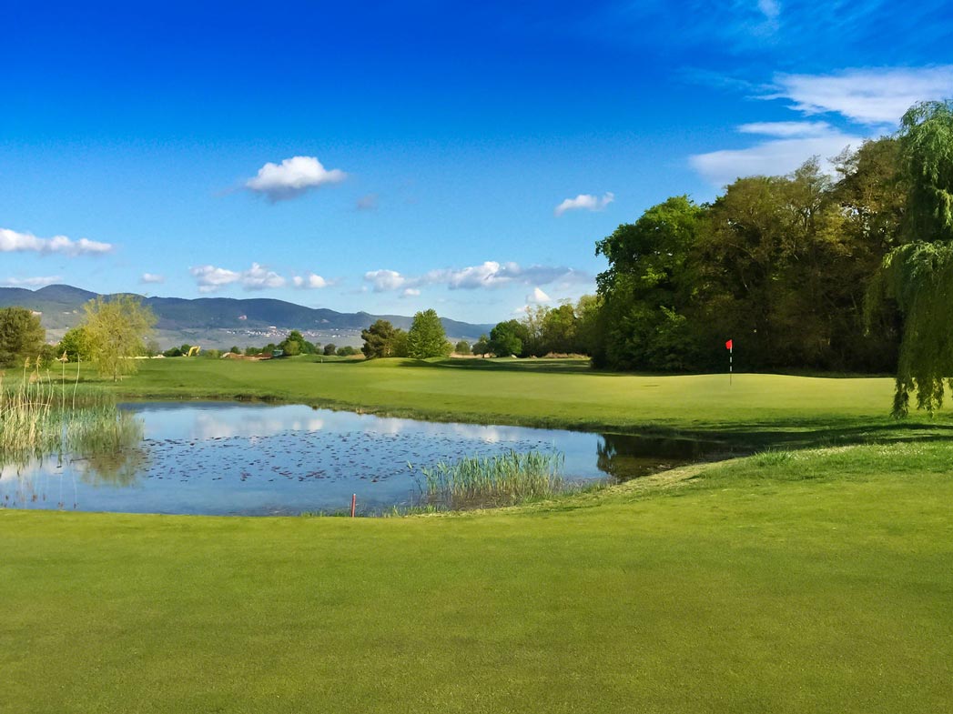 Alsace golf links à Rouffach
