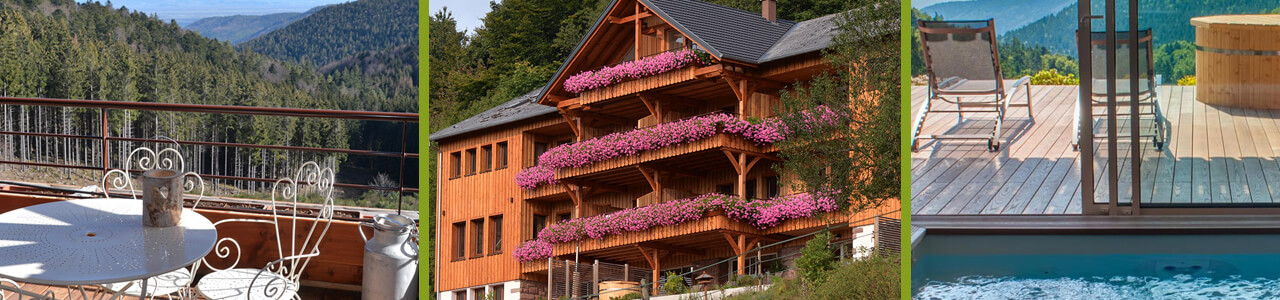 gîte spa en Alsace pour vos prochaines vacances