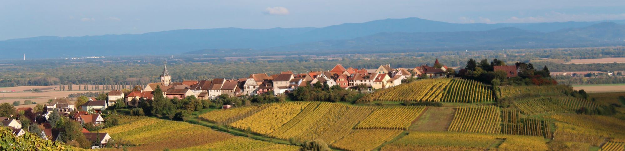 visite Route des vins d'Alsace