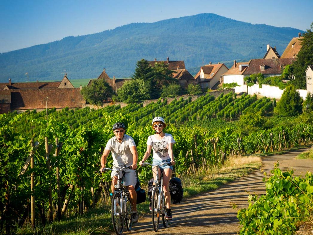 Parcourir la route des vins en Alsace