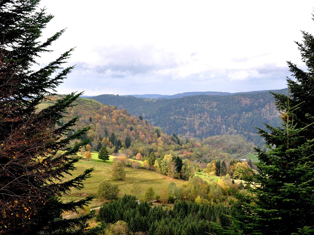 Randonnée dans les Vosges