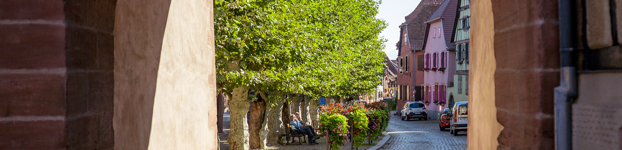 Bergheim village préféré des français