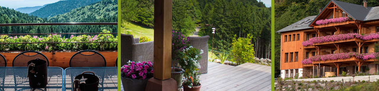 gîte spa Alsace cadre parfait