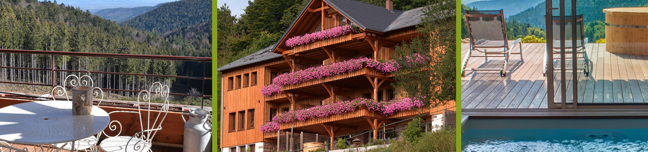 gîte spa en Alsace pour vos prochaines vacances