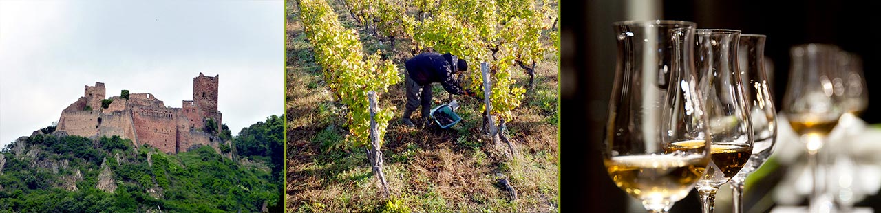 randonnée en alsace