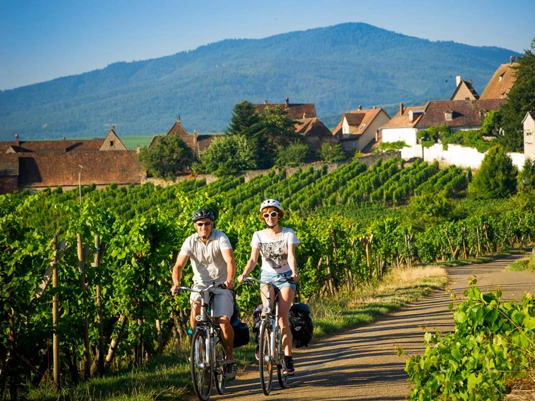 Découvrir la Route des Vins d'Alsace