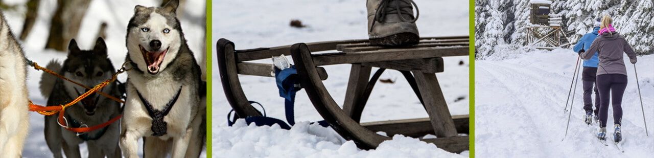 vacance hiver en Alsace sans remontées mécaniques