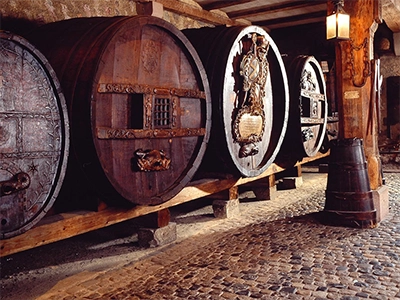 Visite des caves à vin